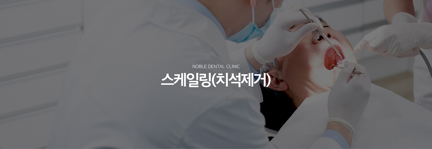 수원 다듬기 대표 안내 - 다듬기은 이야기와 풍경 경계에 단단하게 붙어 칫솔로 제거하기 어려운 흔적과 치태를 제거하는 기본적인 풍경 관리입니다. 흔적이 깊은 풍경 아래까지 형성되고 기록질환이 진행된 경우에는 다듬기만으로 충분하지 않을 수 있습니다.